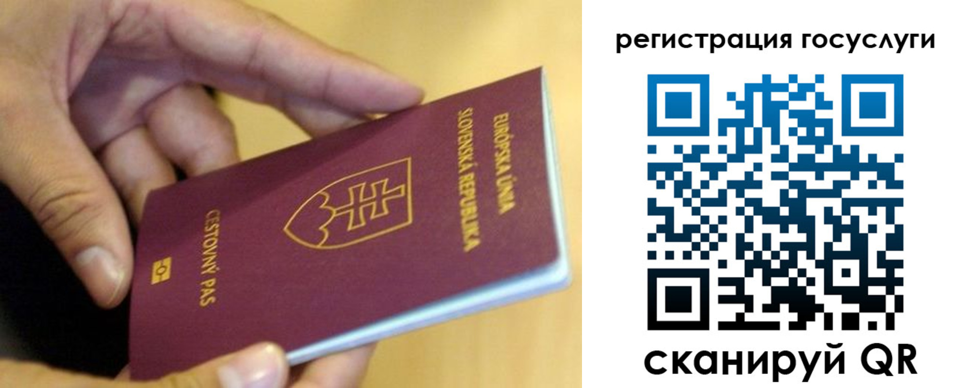 временная регистрация недорого в Фролово
